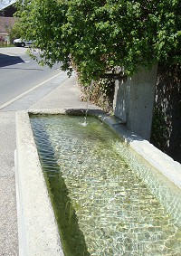 L'eau, source de vie