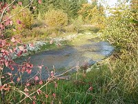 L'étang de Villars-Mendraz